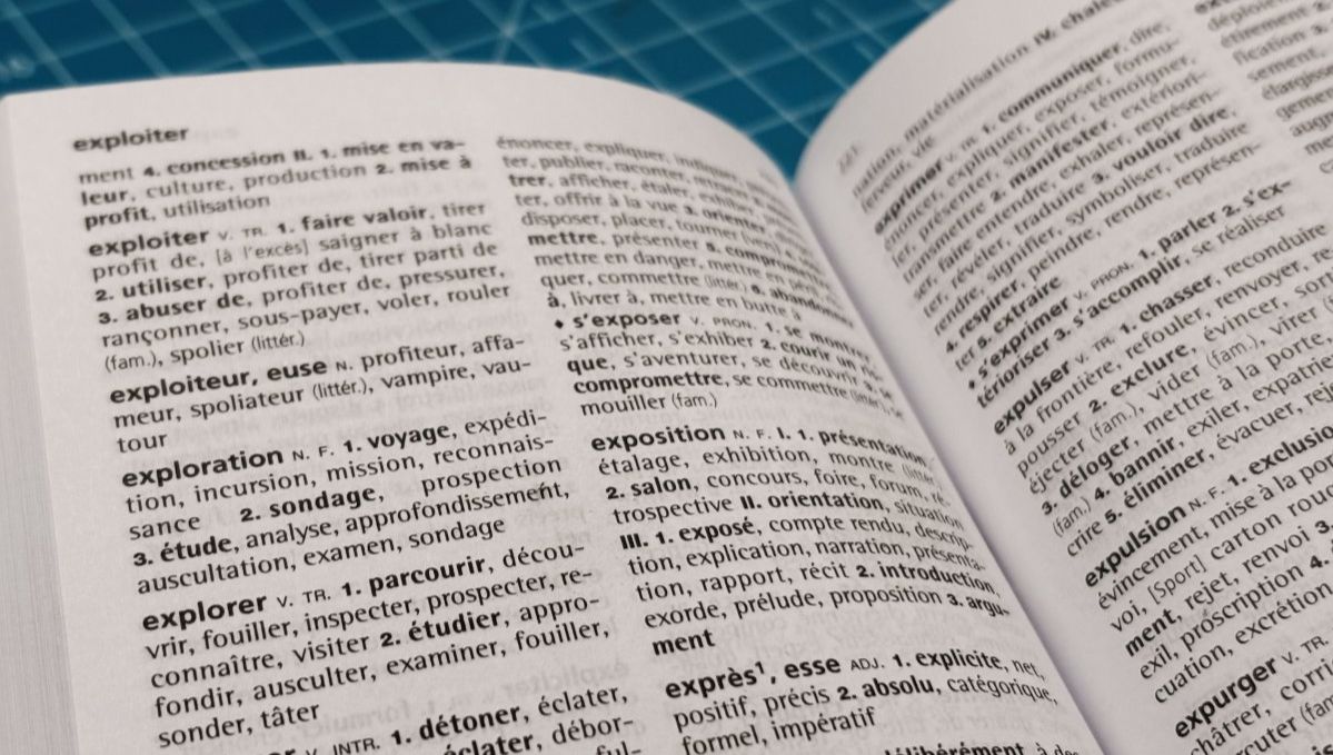 Comment l'appauvrissement du langage limite-t-il notre capacité à communiquer efficacement